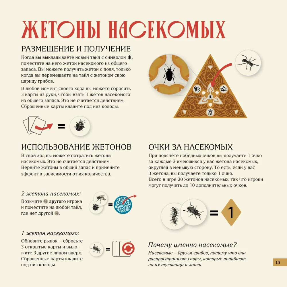 Stalo žaidimas - Micelijus